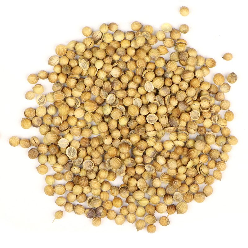 CORIANDER