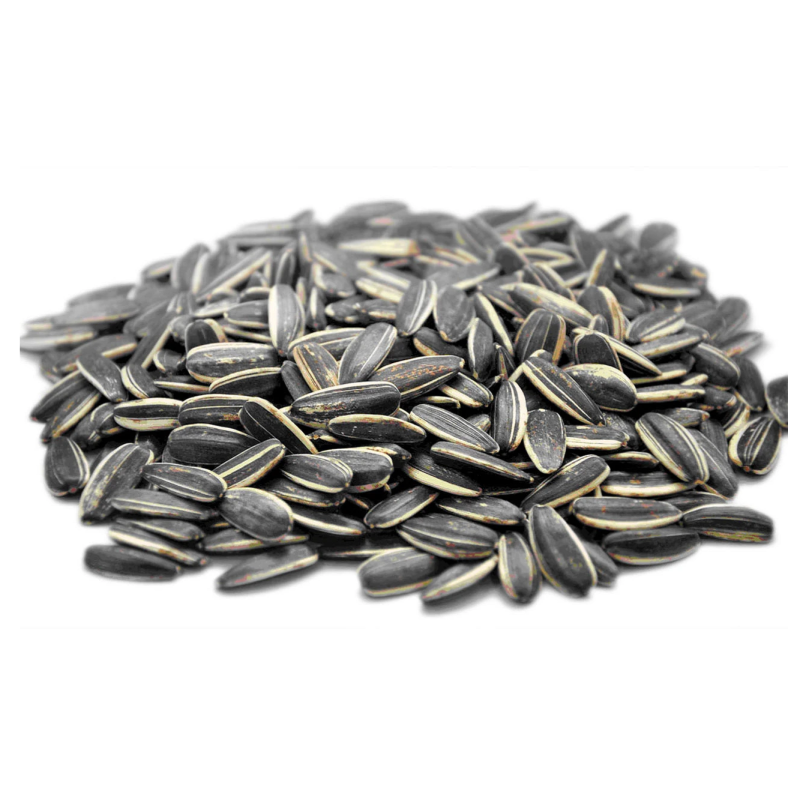SUN FLOWER SEEDS